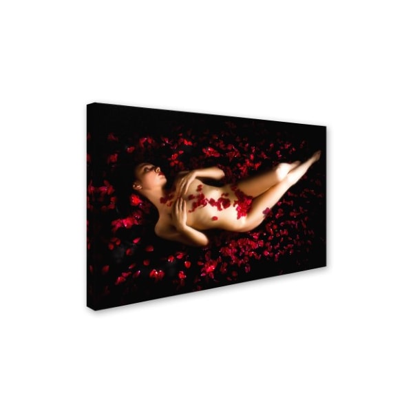 Tibor Arva 'Red Dream' Canvas Art,12x19